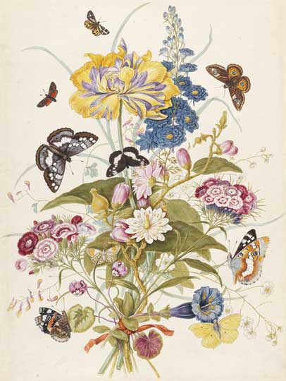 (1738), Georg Dionysius Ehret
