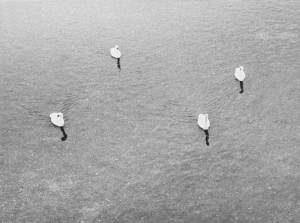 (2006), Jochen Lempert