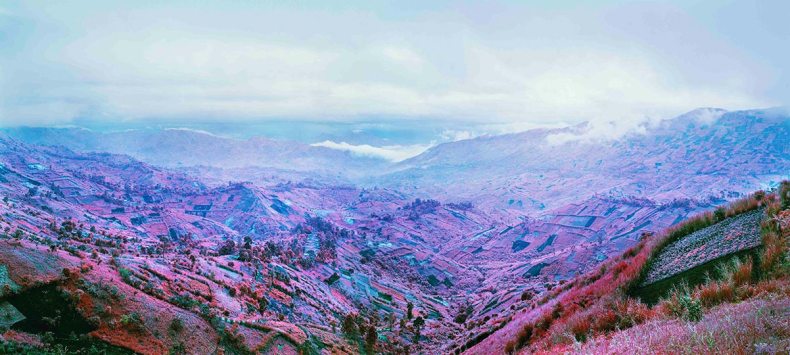 (2012), Richard Mosse