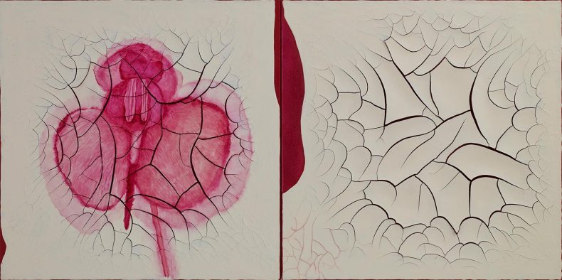(2012), Adriana Varejão.