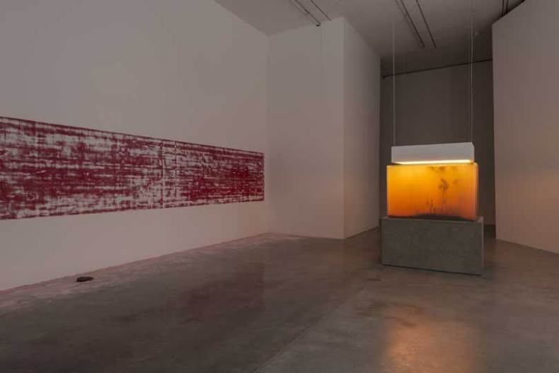 Installation view