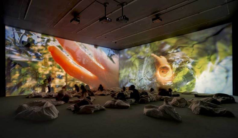 Installation view 'Pipilotti Rist. Worry Will Vanish', Hauser & Wirth London (2014)