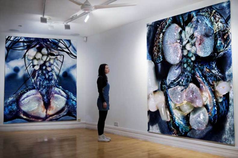 (installation image; 2015), Jon Baker.