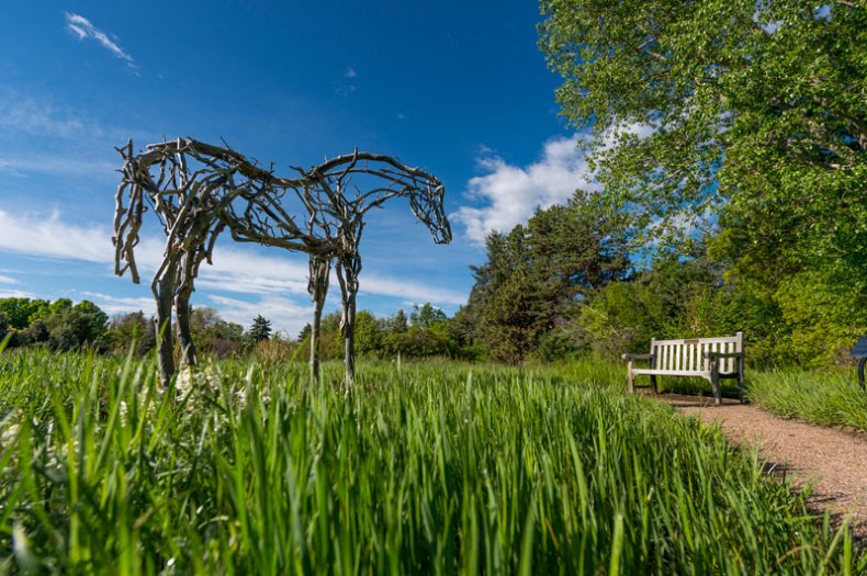 (2010), Deborah Butterfield. Collection of Snite Museum of Art, University of Notre Dame: Humana Foundation Endownment for American Art.