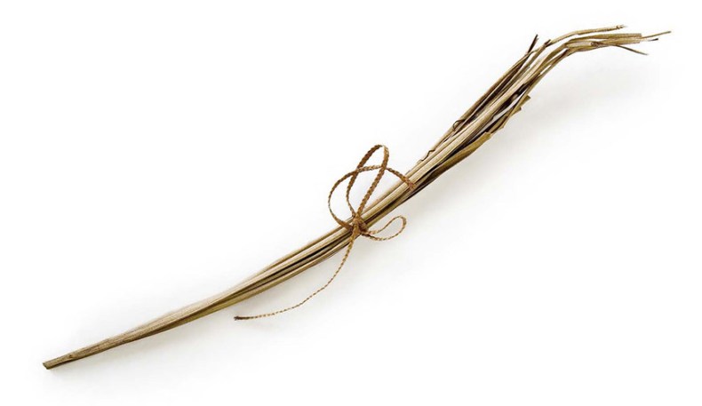 Mangala, sennit-tied coconut leaf. Collected by William Wyatt Gill in the Cook Islands, 1852-83