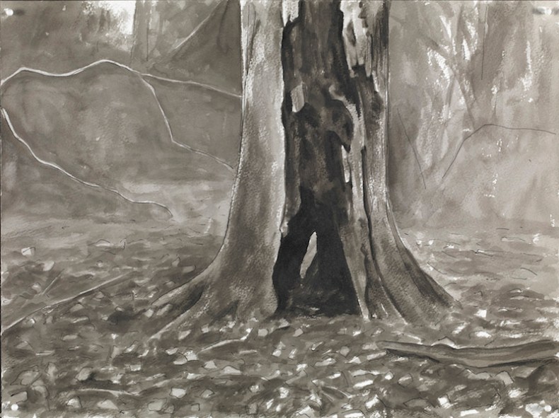 Wounded Tree III