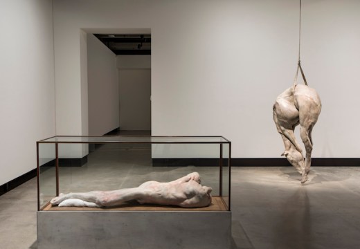 'Lange eenzame man' (2010) (left) and P XIII (2008) (right), Berlinde De Bruyckere, installation view, Mona. Photo: Mona/Rémi Chauvin