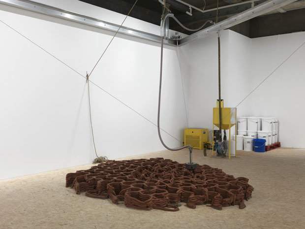 ‘Anya Gallaccio: Beautiful Minds’ at Thomas Dane Gallery, London, 2017. Courtesy the artist and Thomas Dane Gallery, London. Photo Todd-White Art Photography