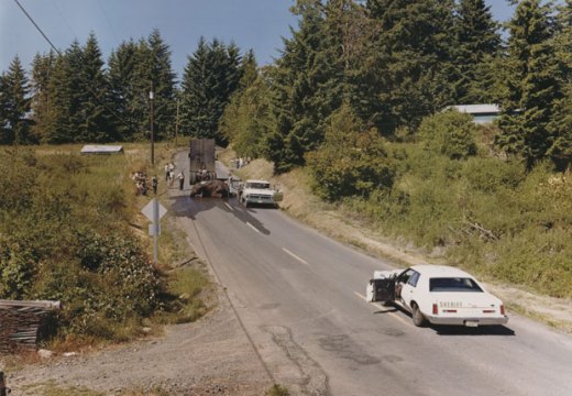 Exhausted renegade elephant, Woodland, Washington, June 1979, by Joel Sternfeld. © Joel Sternfeld. Image courtesy Beetles+Huxley and Luhring Augustine