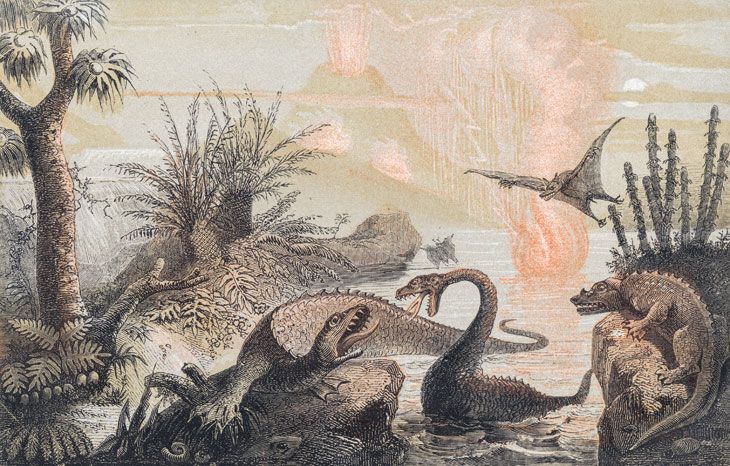 The Primitive World (1857), Adolphe François Pannemaker. Courtesy of TASCHEN
