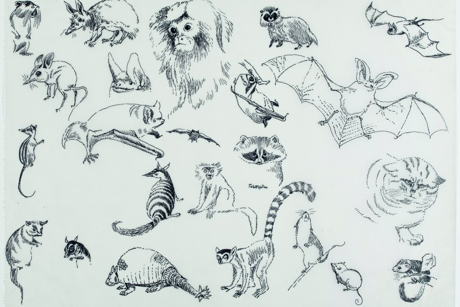 Preliminary sketches for Alice i Underlandet (1966), Tove Jansson