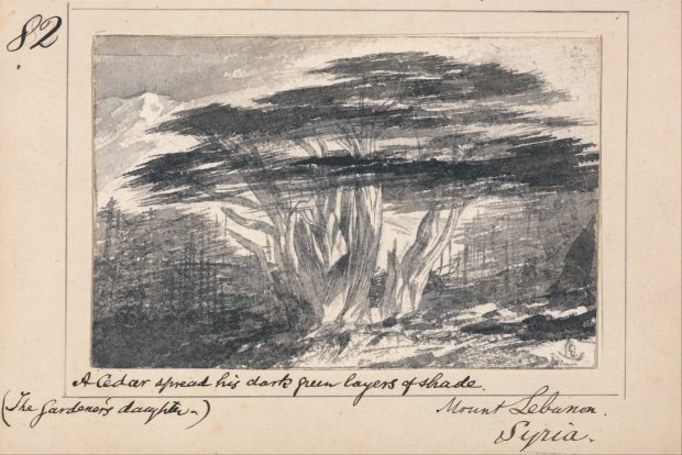 A cedar spread his dark green layers of shade, , illustration for Tennyson's 'The Gardener's Daughter', Mount Lebanon, Syria, (n.d.), Edward Lear. Yale Center for British Art, New Haven