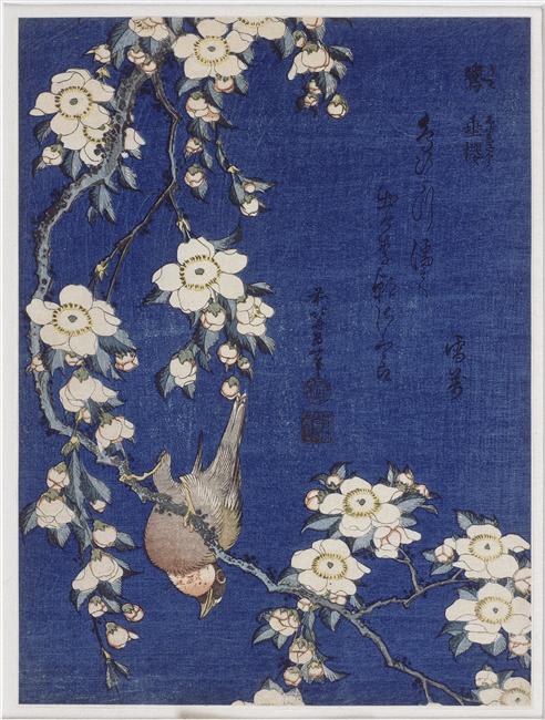 Bullfinch and Weeping Cherry, from a series known as Small Flowers and Birds, (c. 1834), Katsushika Hokusai, The Art Institute of Chicago.