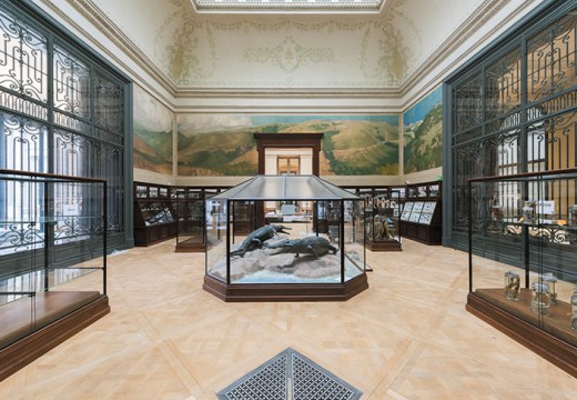 The Crocodile Room in the Africa Museum, Tervuren.