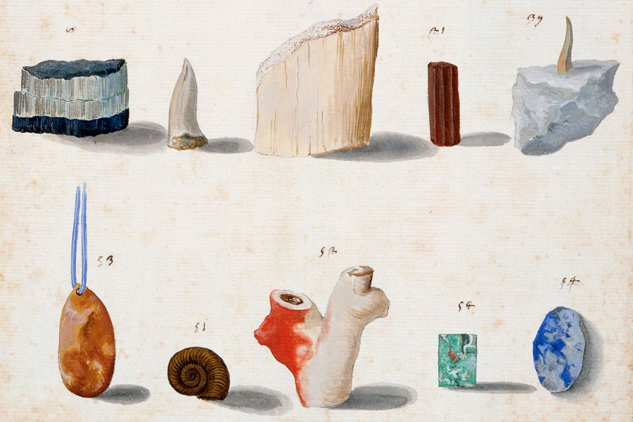Lapidary and ‘figured’ stones, corals, fossils, semi-precious stones and minerals (c. 1630–40), Vincenzo Leonardi