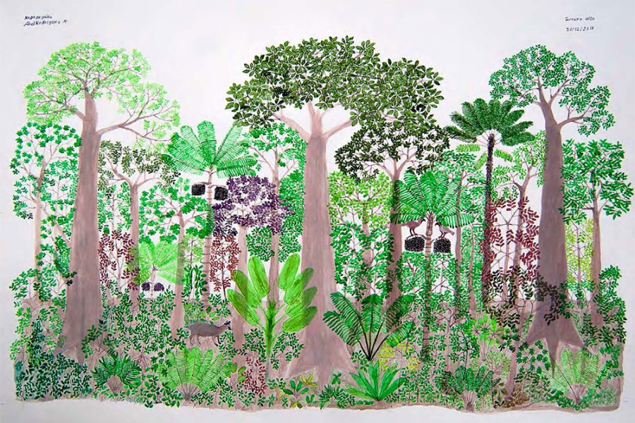 Terraza Alta III (2018), Abel Rodríguez.