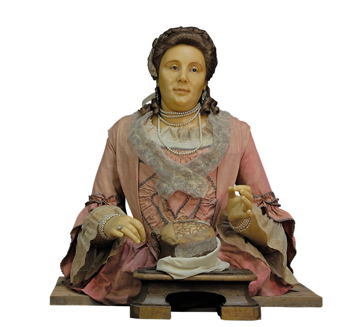 Self-portrait bust dissecting a brain, 1755, Anna Morandi. Museo di Palazzo Poggi, Bologna