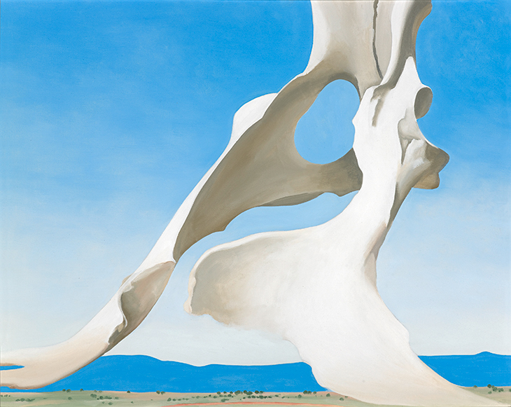 Pelvis with the Distance (1943), Georgia O'Keeffe.